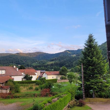 Appartement Chaleureux Au Coeur Des Hautes Vosges Ventron Exterior foto