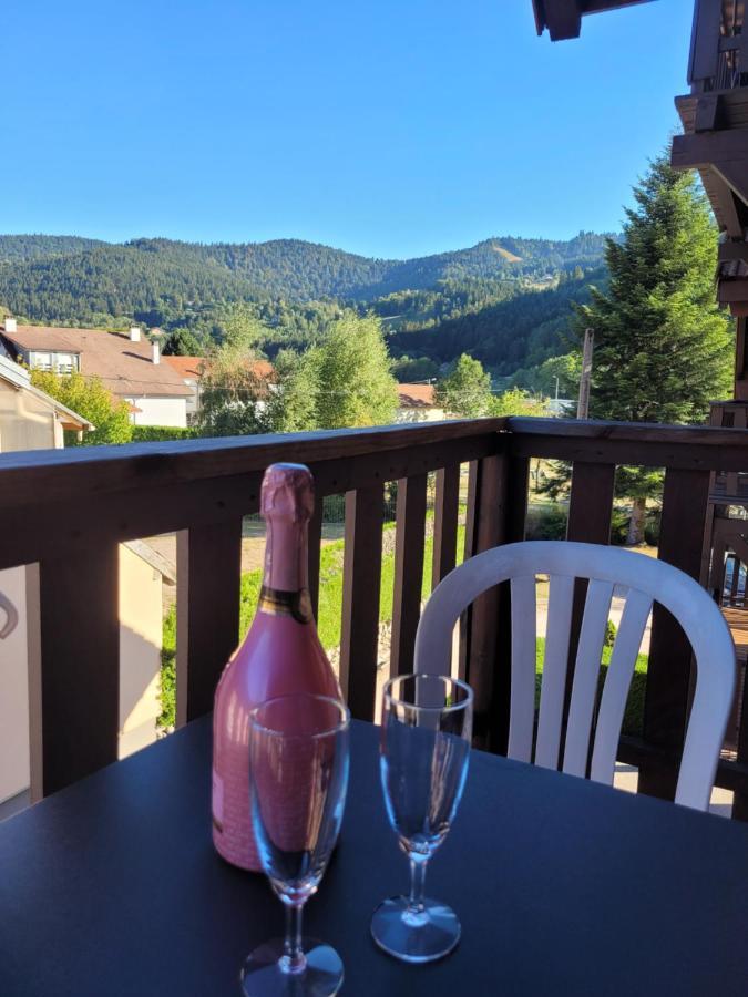 Appartement Chaleureux Au Coeur Des Hautes Vosges Ventron Exterior foto