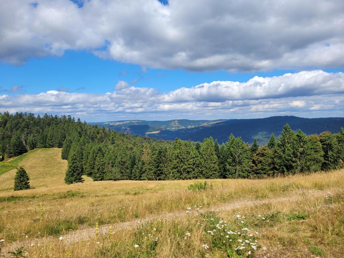 Appartement Chaleureux Au Coeur Des Hautes Vosges Ventron Exterior foto