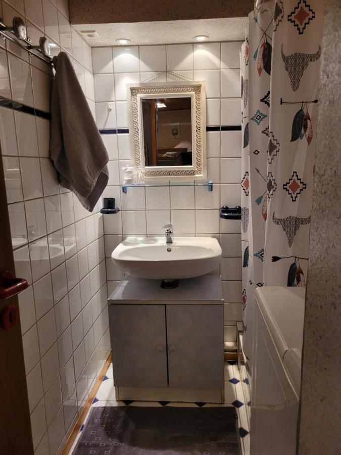 Appartement Chaleureux Au Coeur Des Hautes Vosges Ventron Exterior foto
