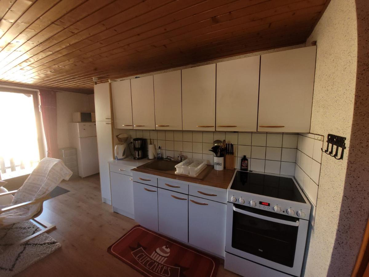 Appartement Chaleureux Au Coeur Des Hautes Vosges Ventron Exterior foto
