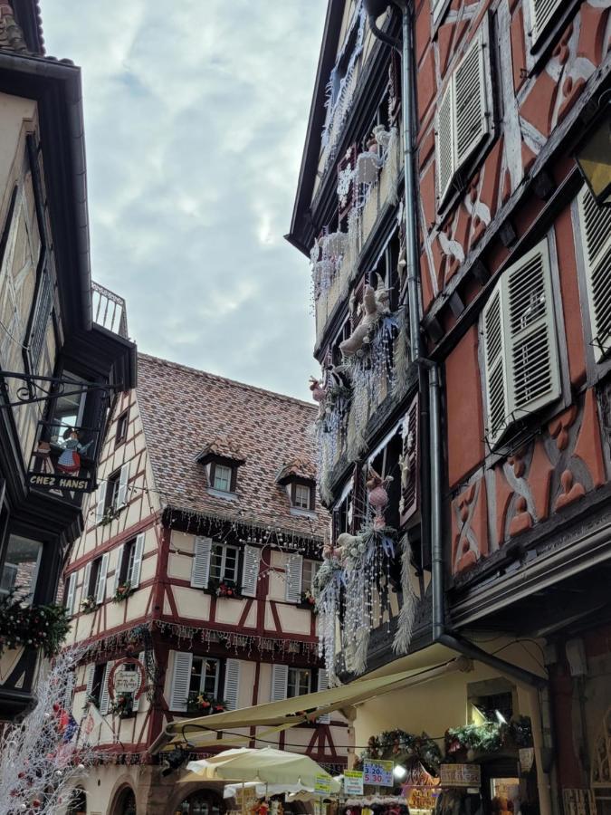 Appartement Chaleureux Au Coeur Des Hautes Vosges Ventron Exterior foto
